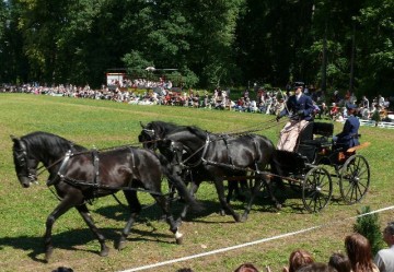 Caballeriza Slatiňany